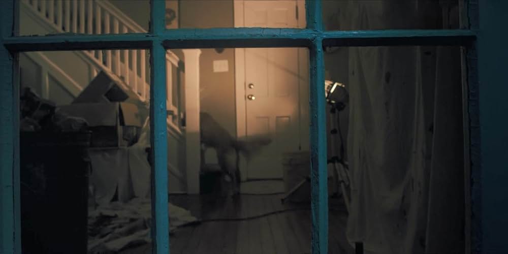 Good Boy（原題）の画像