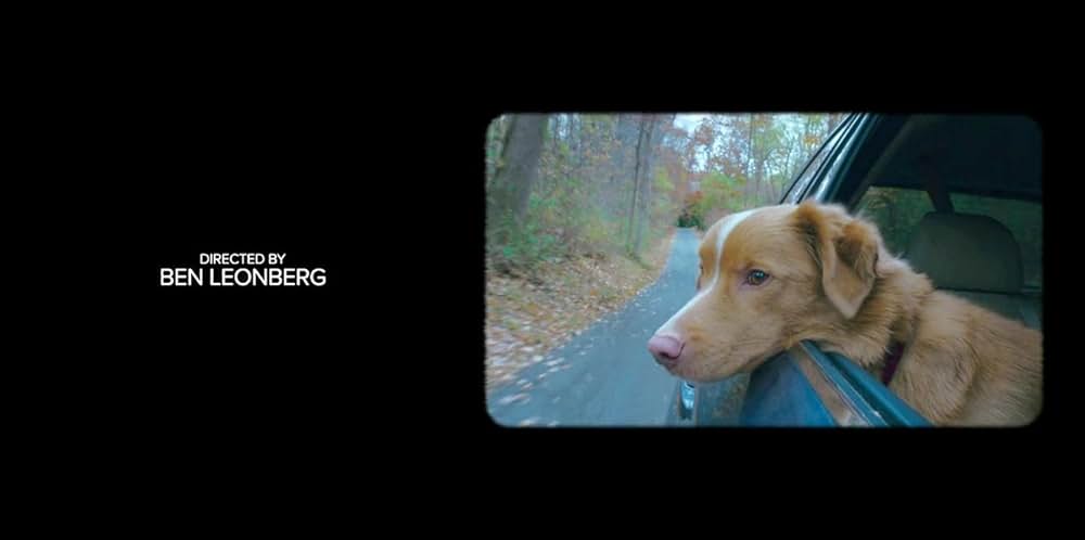 Good Boy（原題）の画像