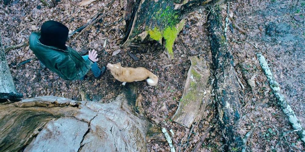 Good Boy（原題）の画像