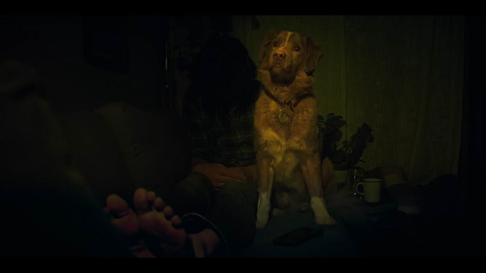 Good Boy（原題）の画像