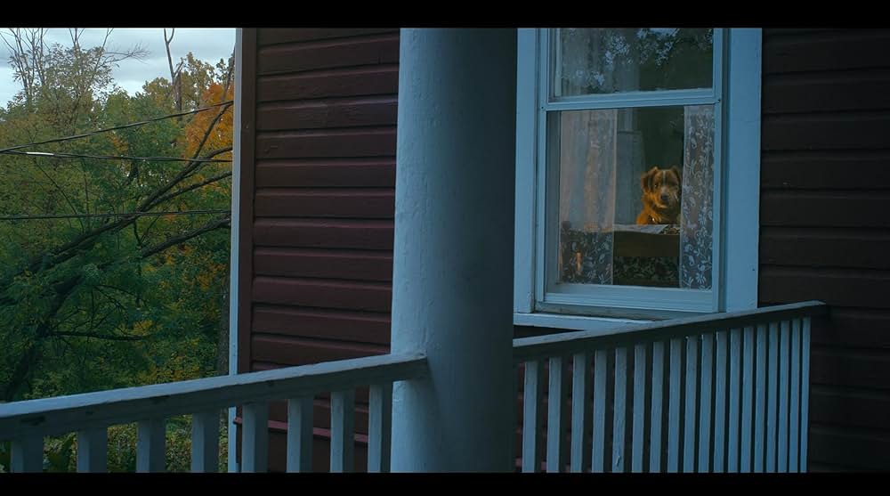 Good Boy（原題）の画像