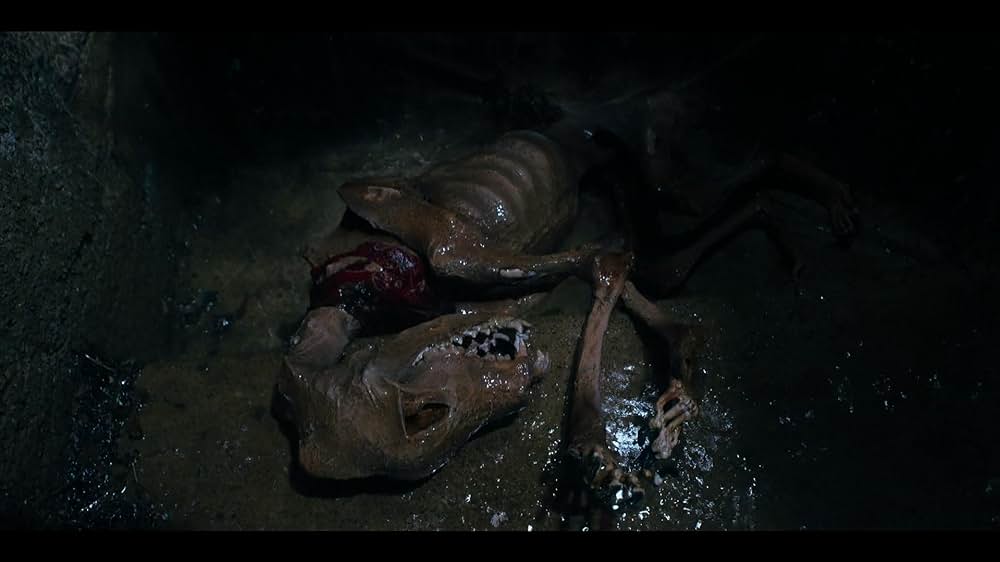 Good Boy（原題）の画像