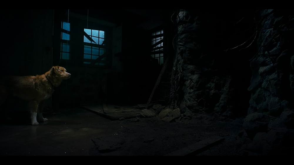 Good Boy（原題）の画像