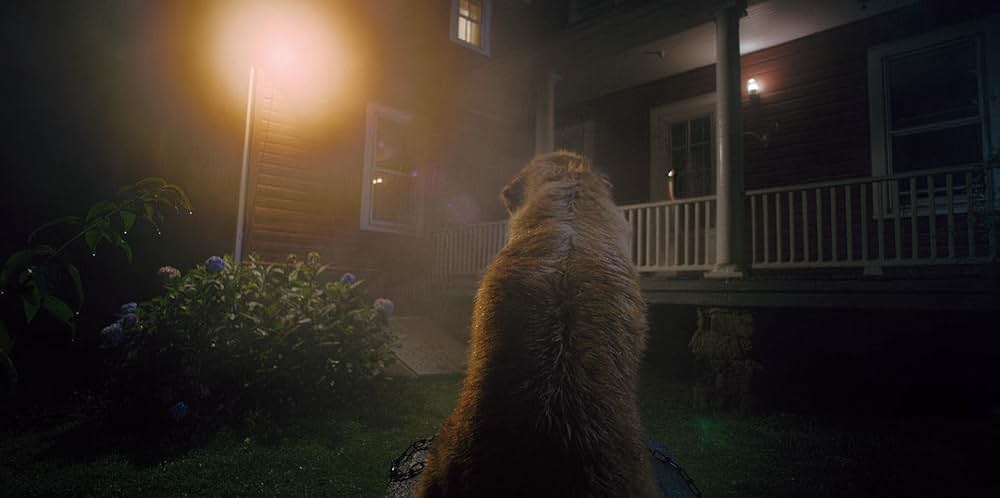 Good Boy（原題）の画像