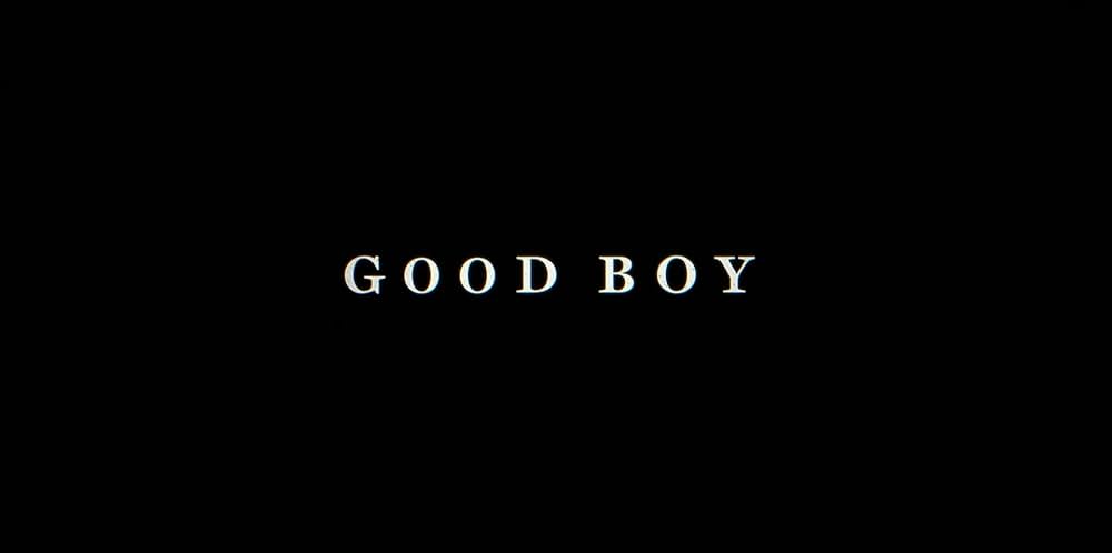 Good Boy（原題）の画像