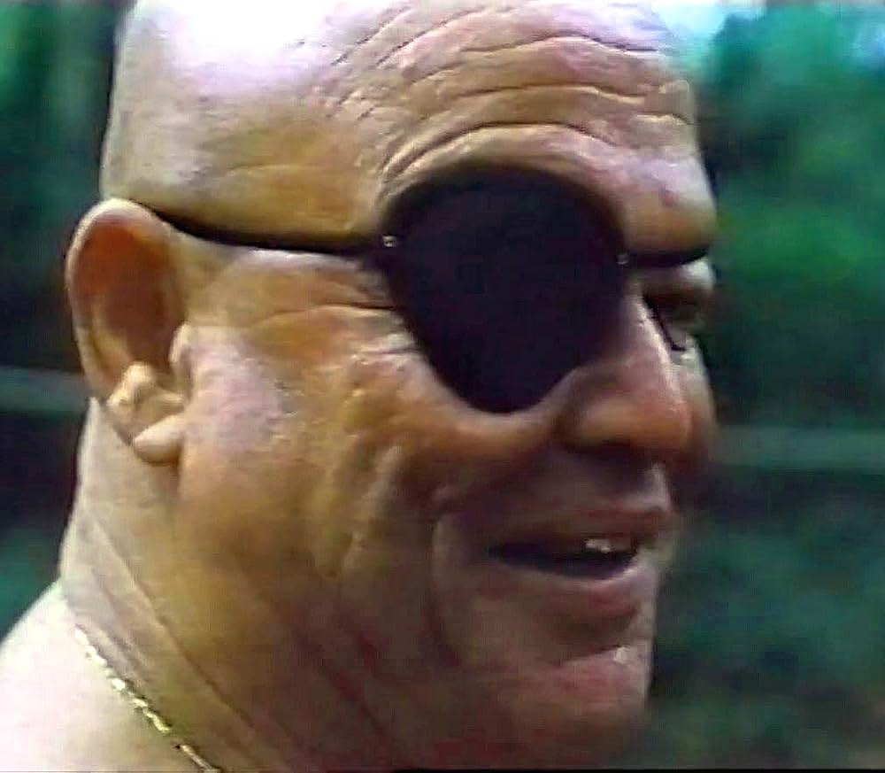 女王陛下のトップガンの画像