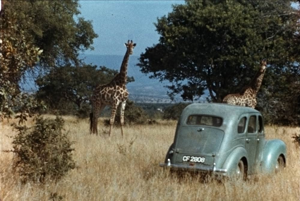 The Woman Who Loves Giraffes（原題）の写真