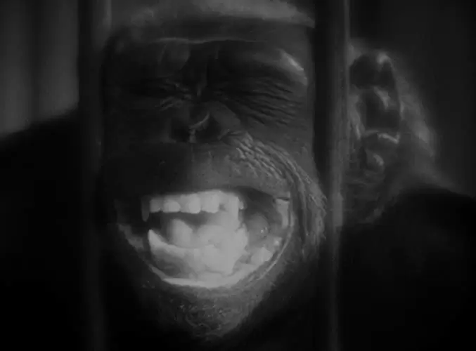 「モルグ街の殺人」の画像