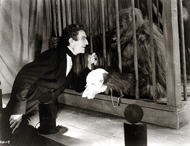 モルグ街の殺人の画像