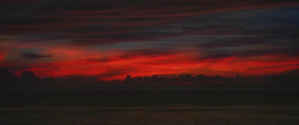 アリフ、ザ・プリン（セ）スの画像