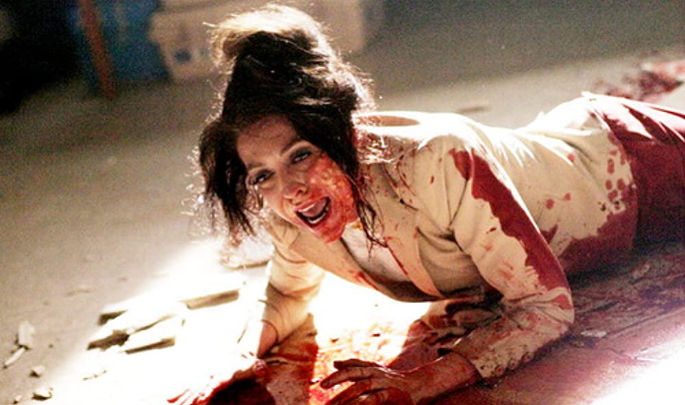 キャビン・フィーバー2／キャビン・フィーバー スプリング・フィーバーの画像