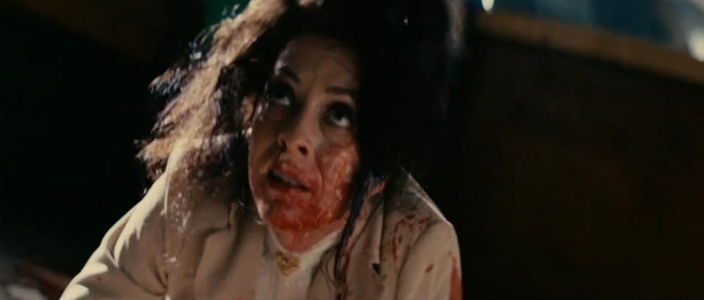 キャビン・フィーバー2／キャビン・フィーバー スプリング・フィーバーの画像