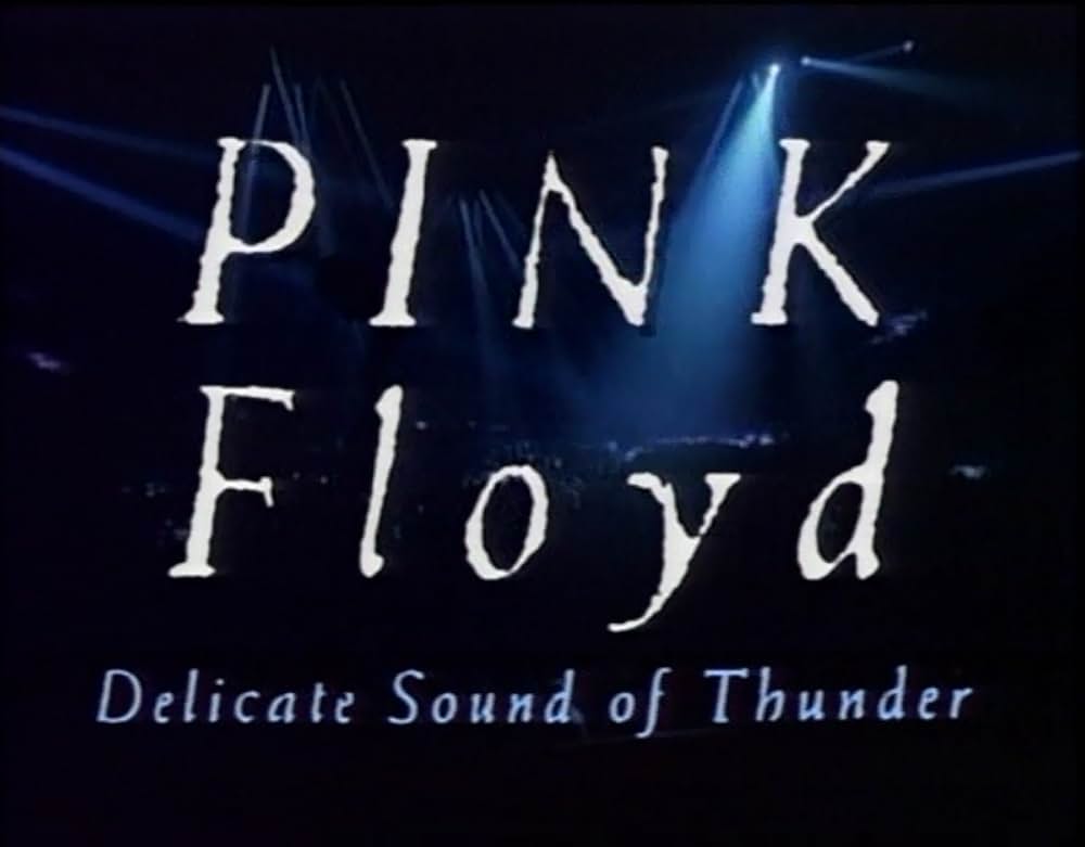 Pink Floyd: Delicate Sound of Thunder（原題）の写真