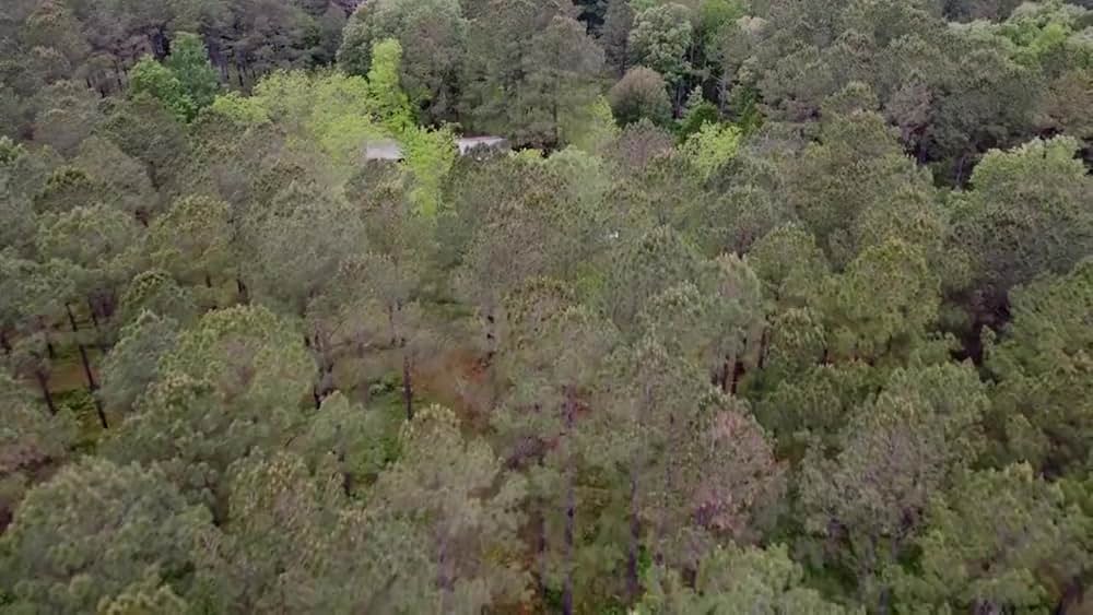 #MissingCouple（原題）の画像