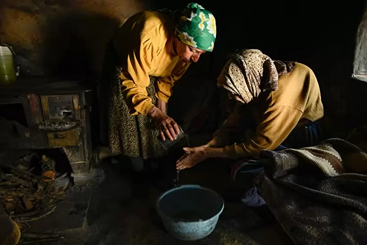 ハニーランド 永遠の谷の画像