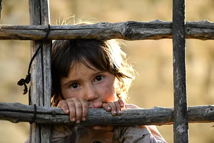 ハニーランド 永遠の谷の画像