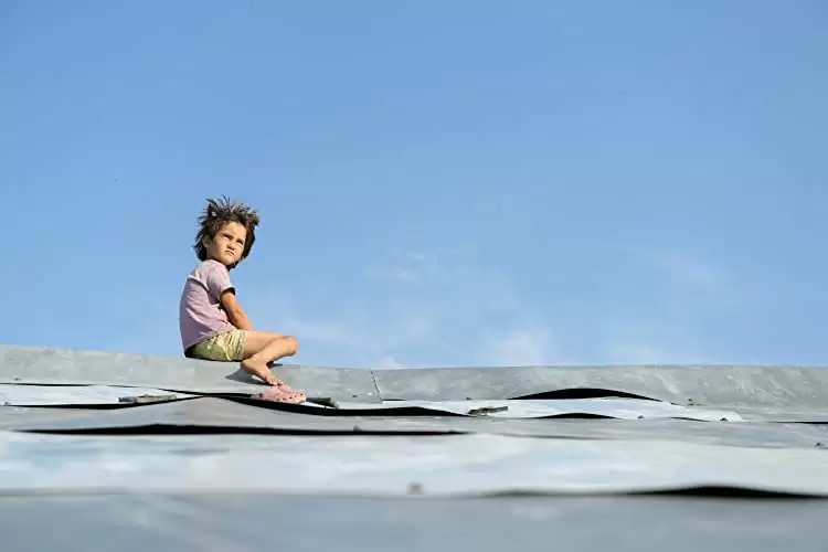 ハニーランド 永遠の谷の画像