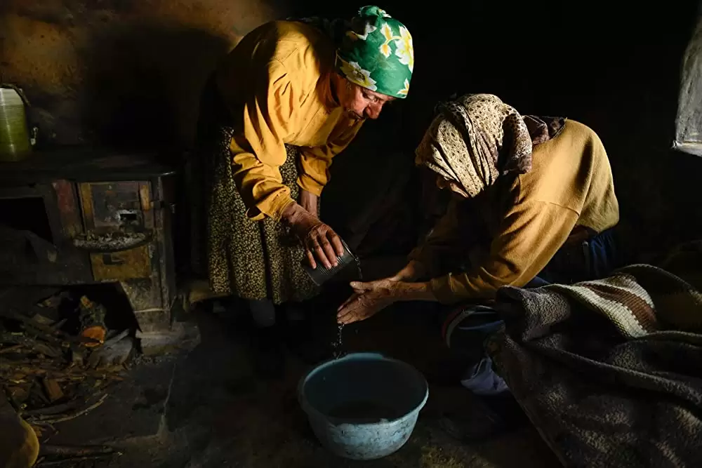 ハニーランド 永遠の谷の画像
