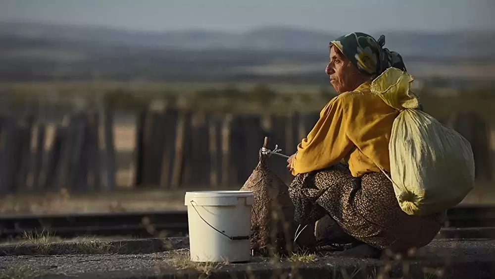 ハニーランド 永遠の谷の画像