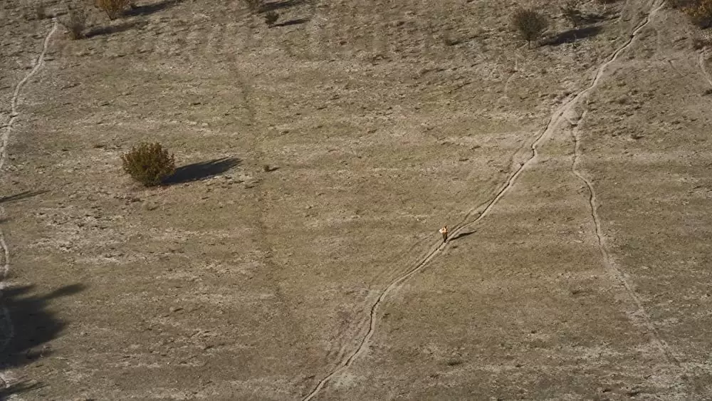 ハニーランド 永遠の谷の画像