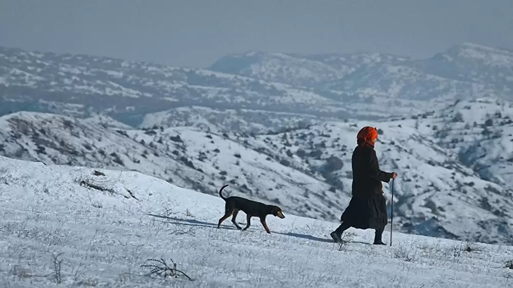 ハニーランド 永遠の谷の画像