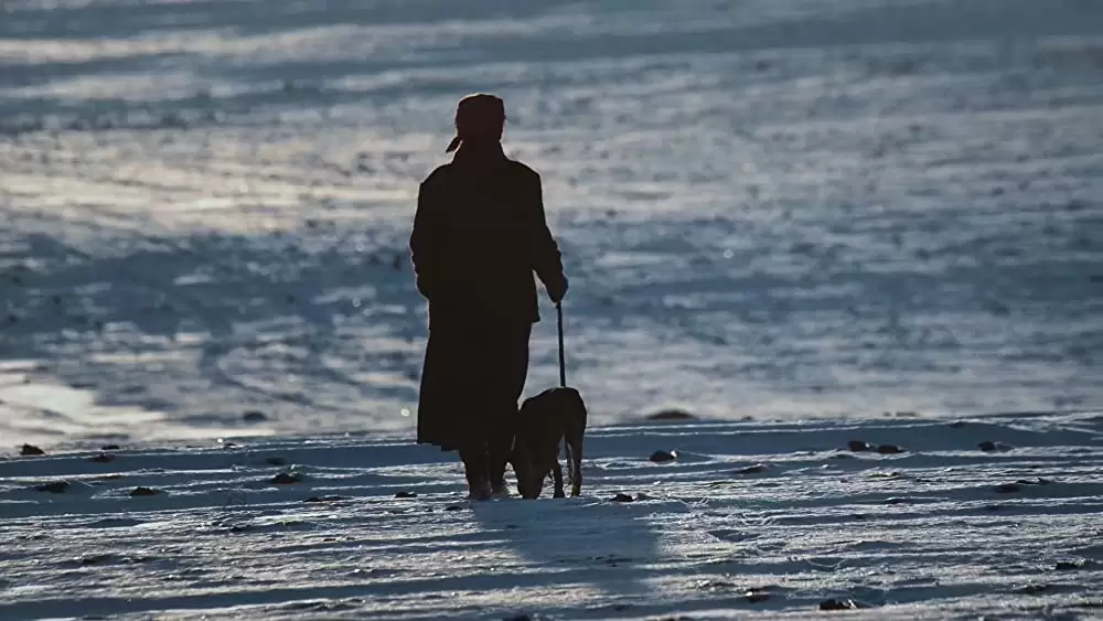 ハニーランド 永遠の谷の画像