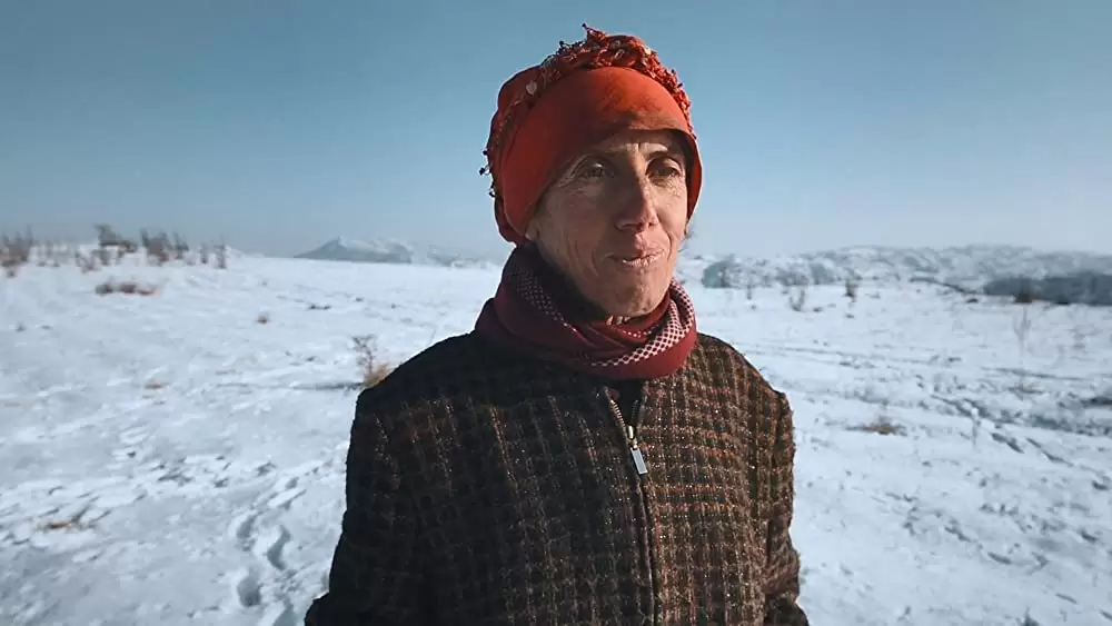 ハニーランド 永遠の谷の画像