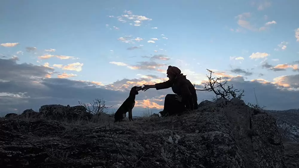 ハニーランド 永遠の谷の画像