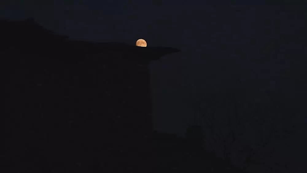 ハニーランド 永遠の谷の画像