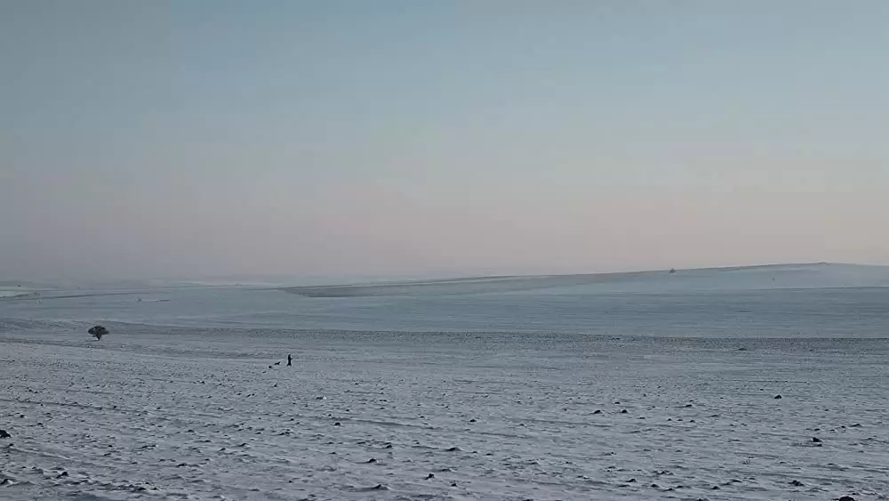 ハニーランド 永遠の谷の画像