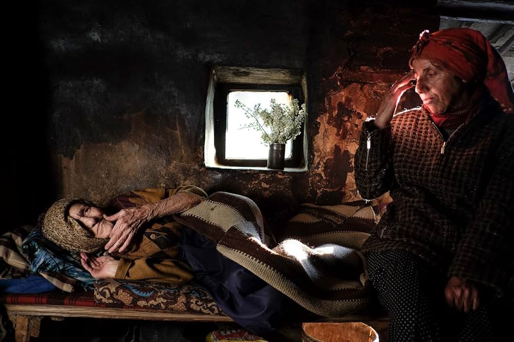 ハニーランド 永遠の谷の画像