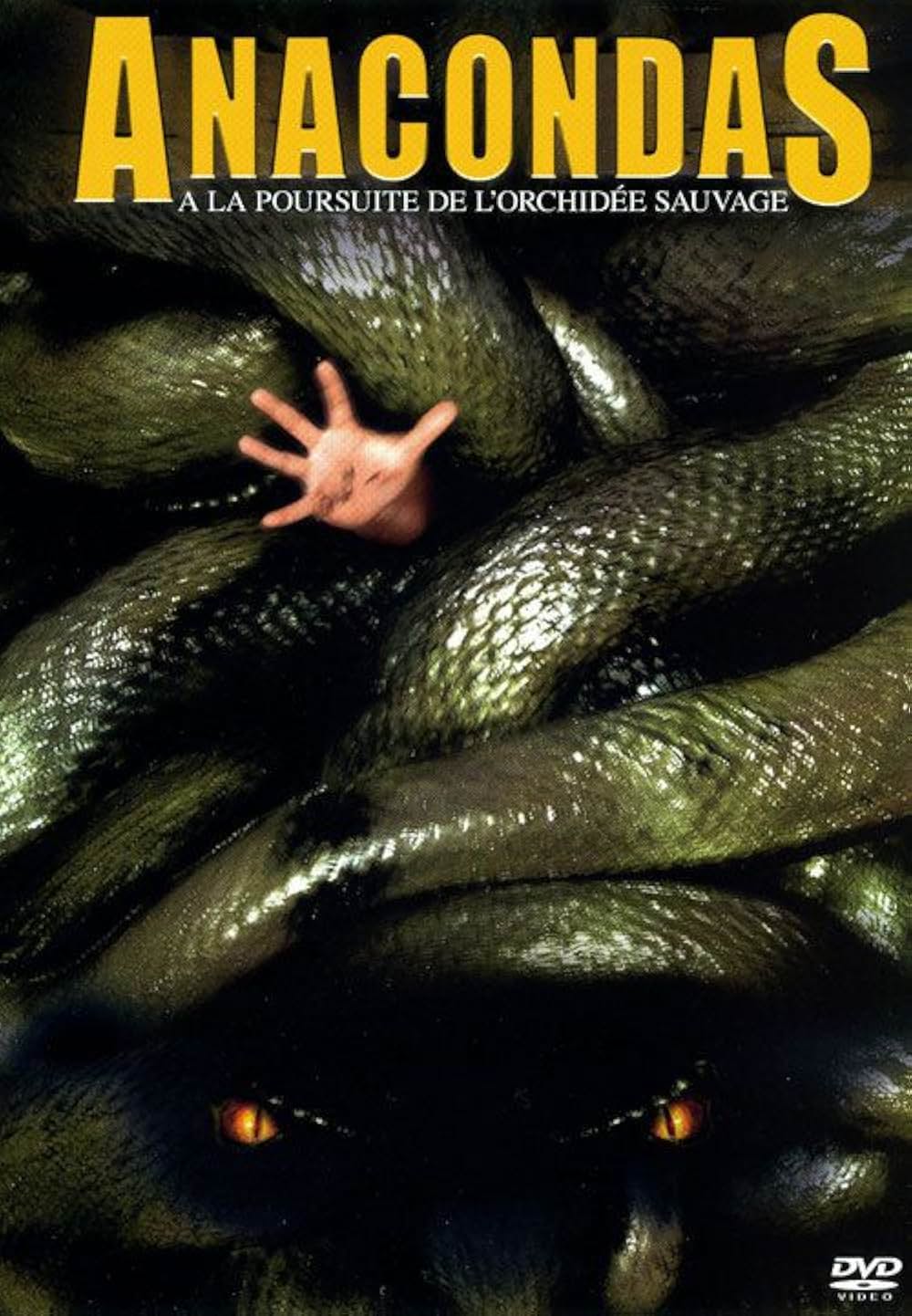 アナコンダ2の画像