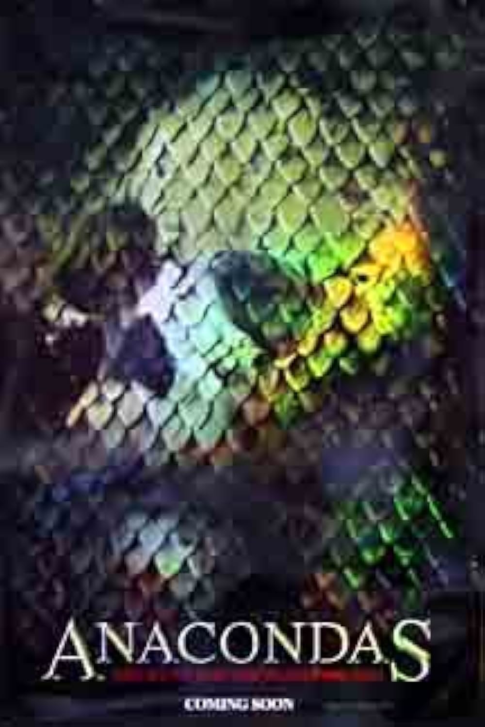 アナコンダ2の画像