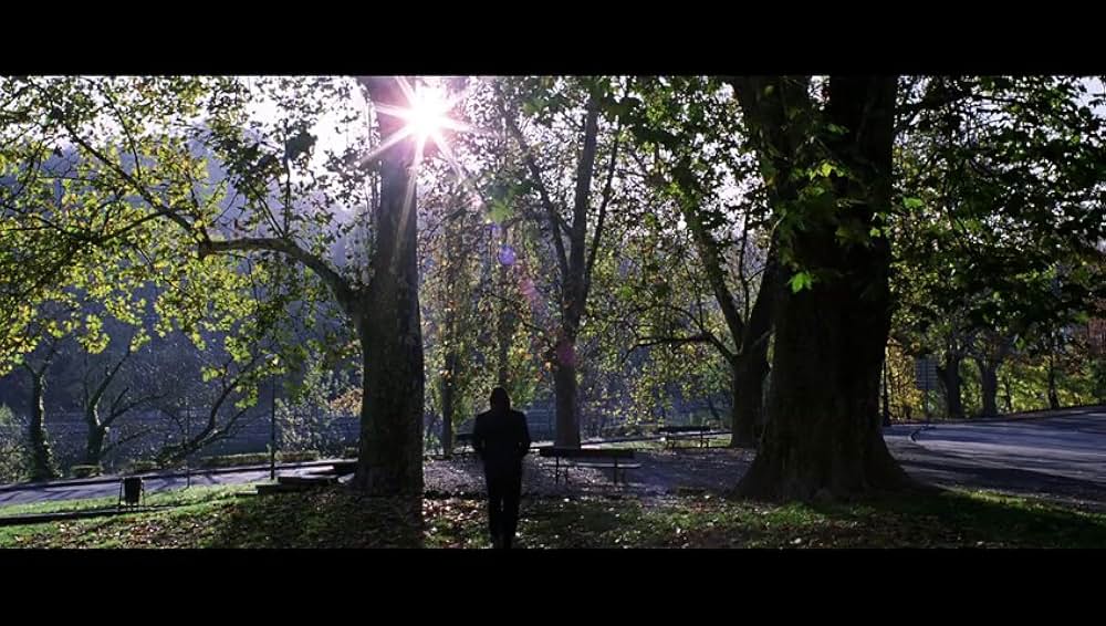 素数たちの孤独の画像