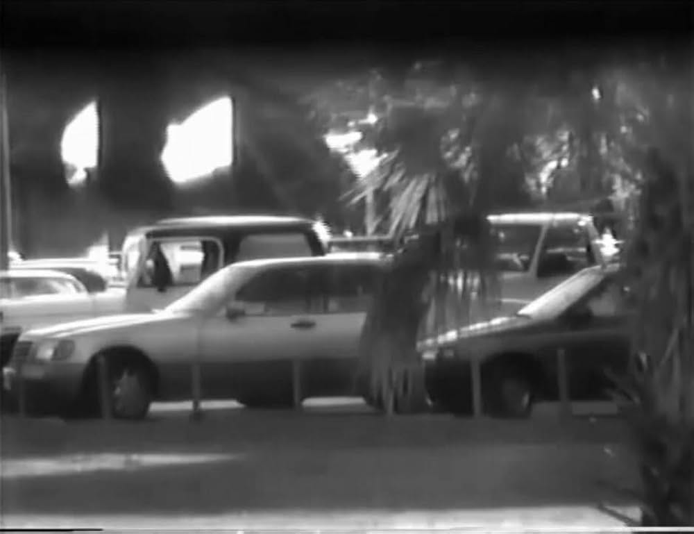 オデッサ作戦の画像