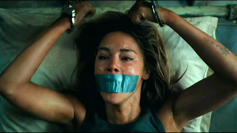 Dangerous Animals（原題）の画像