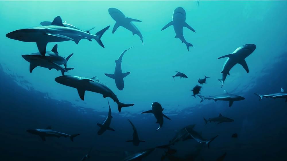 デンジャラス・アニマルズ 絶望海域の画像