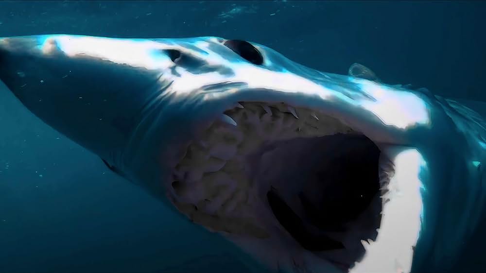 デンジャラス・アニマルズ 絶望海域の写真