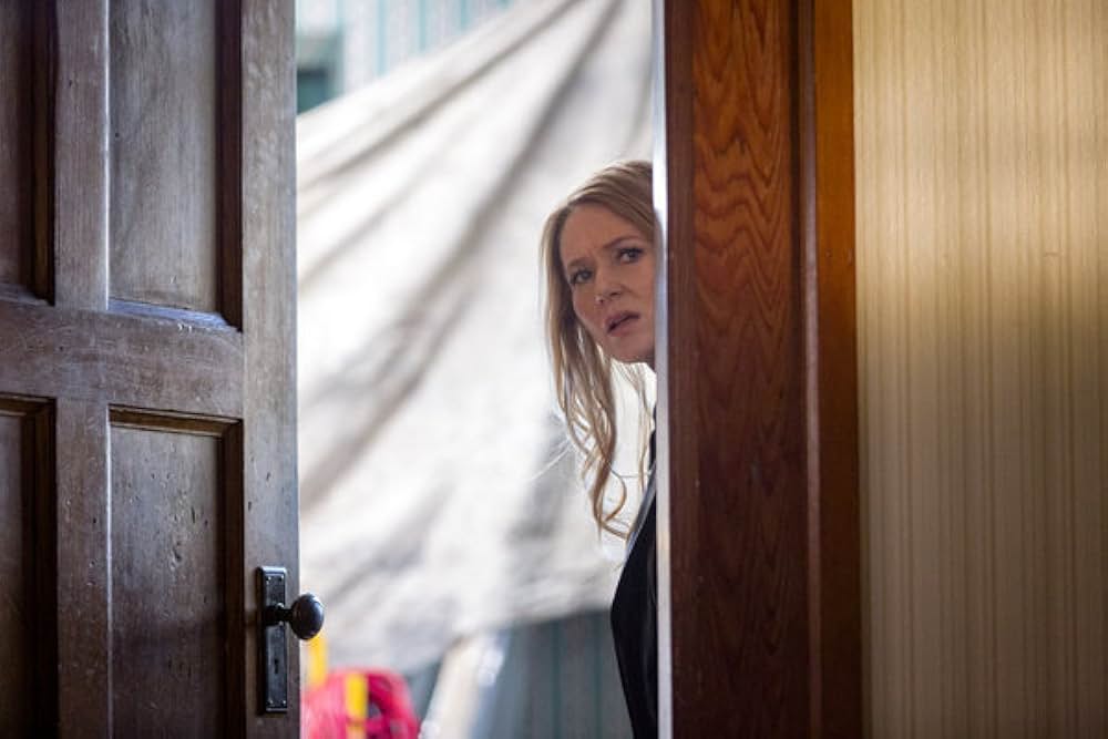 リフォーム探偵シャノン 栄光の誤算の画像