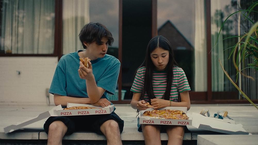 Soft Leaves（原題）の写真