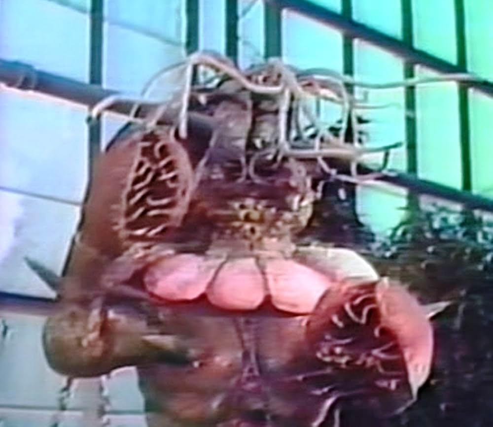 エド・ウッドのX博士の復讐の画像