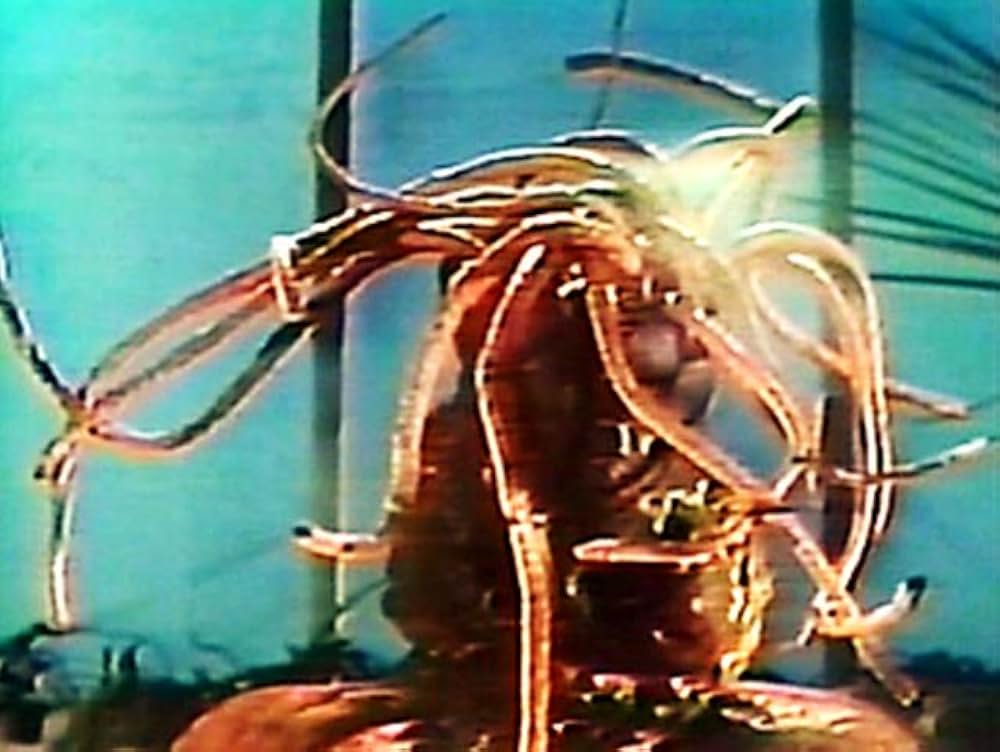 エド・ウッドのX博士の復讐の画像