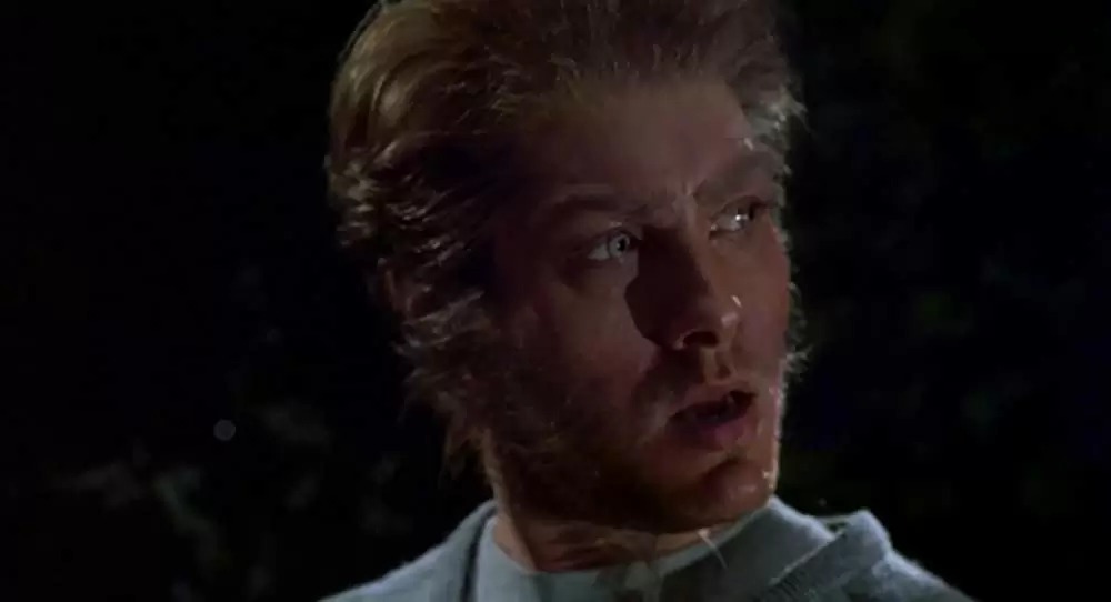 特殊部隊ウルフ・スクワッドの画像