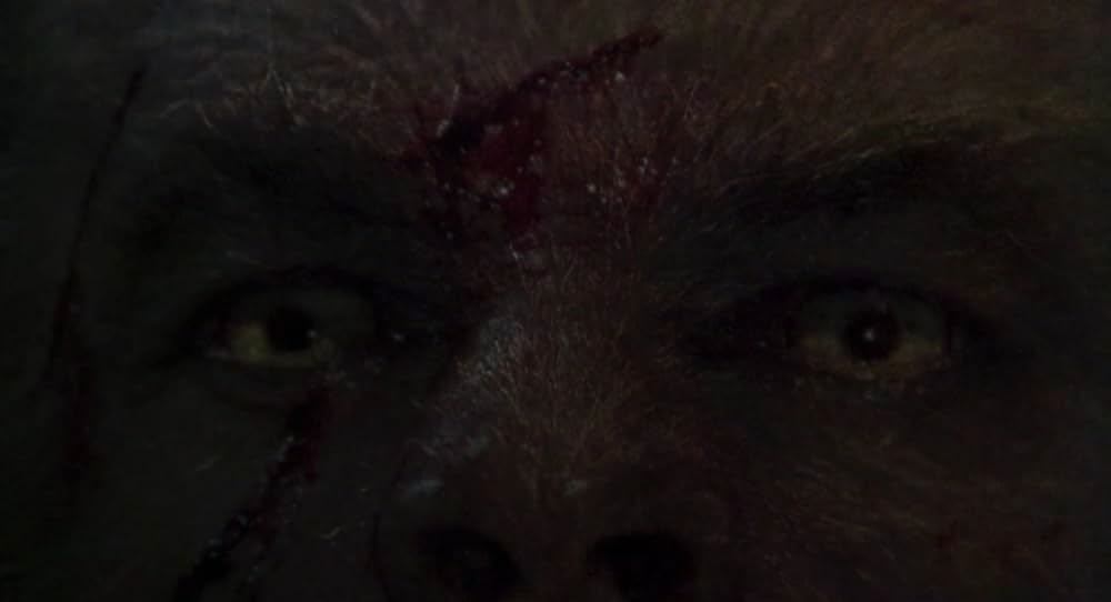 特殊部隊ウルフ・スクワッドの画像