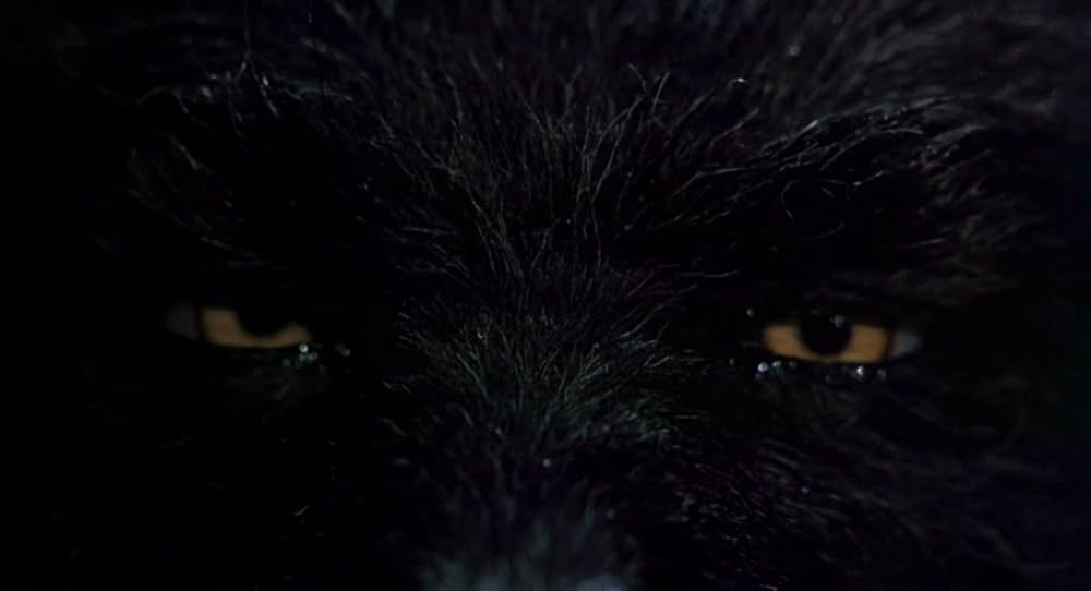 特殊部隊ウルフ・スクワッドの画像