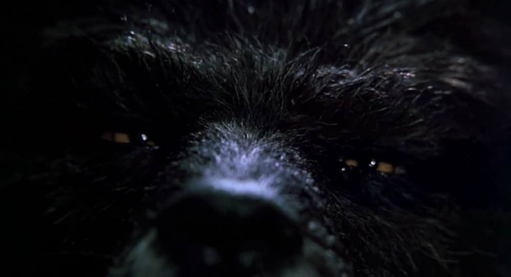 特殊部隊ウルフ・スクワッドの画像