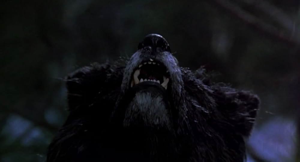 特殊部隊ウルフ・スクワッドの画像