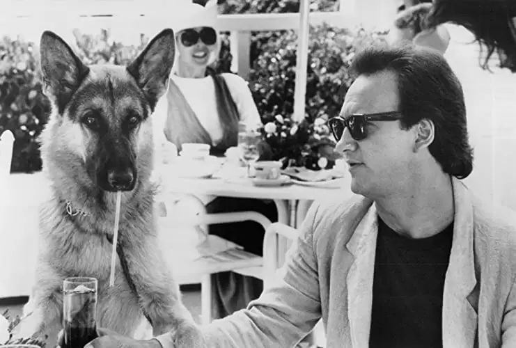 K-9／友情に輝く星の画像