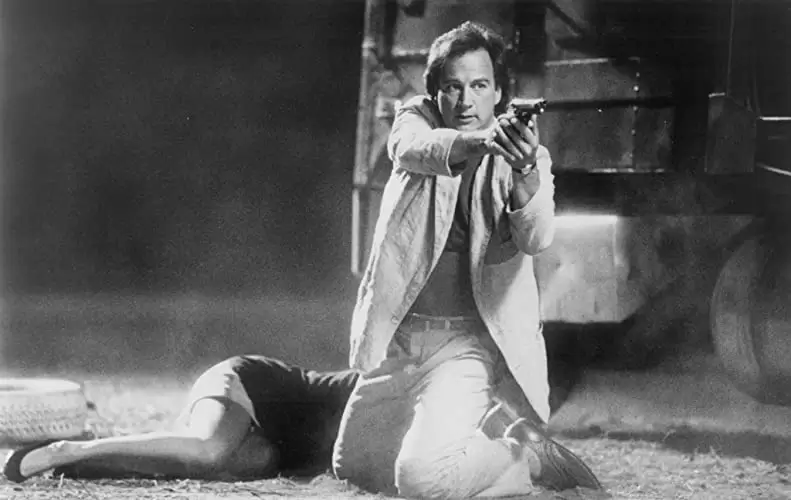 K-9／友情に輝く星の画像