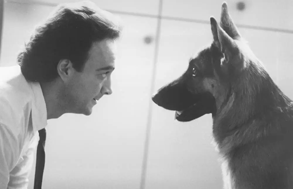 K-9／友情に輝く星の画像